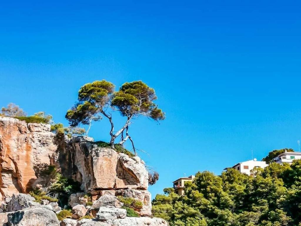 With Sea View Comfortable Vakantiehuis