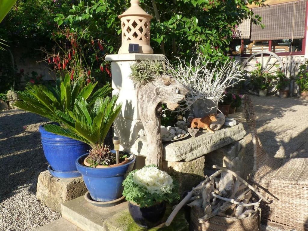 Vakantiehuis With Sea View Comfortable